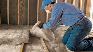 Best Blown-In Insulation  in Algonquin, IL